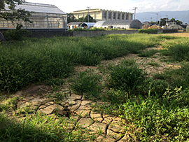 グリーンあさくら被害状況