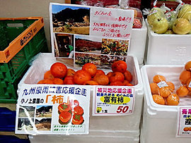 収穫した柿をグリーンコープ甘木店で販売