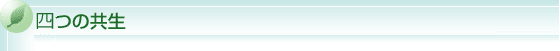 4�̋���