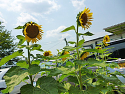 熊本物流センター（熊本県熊本市）