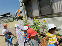 香椎照葉幼稚園（福岡県福岡市）