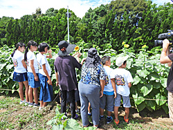 交流会