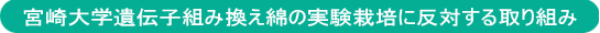 �{���w��`�q�g�݊����Ȃ̎����͔|�ɔ��΂�����g��