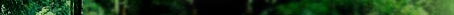 �O���[���R�[�v