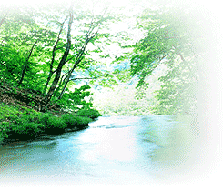 ���C���[�W