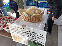 北海道の牧場から届いた支援のチーズ