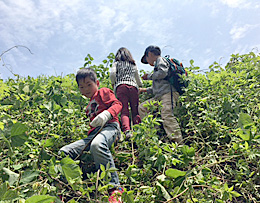 5月8日あおぞらひろば