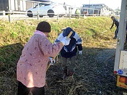 木山仮設団地西地区の草刈り