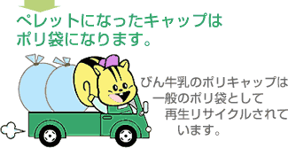�y���b�g�ɂȂ����L���b�v�̓|���܂ɂȂ�܂�