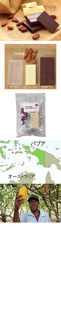 カカオから作る手づくりチョコレートキット 160g