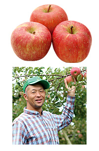 GC産直りんご(ふじ) 600g3玉