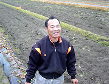 ৖삳