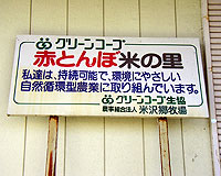 䂤̗