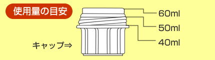 gpʂ̖ڈ