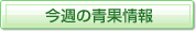 ���T�̐ʏ��