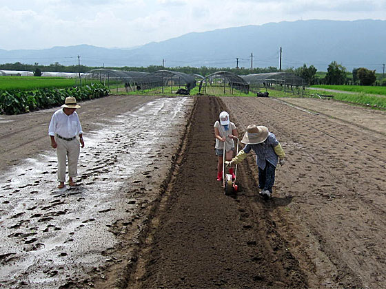種まき機を使っての作業