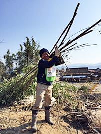 土砂かき前の竹林伐採（杷木寒水）