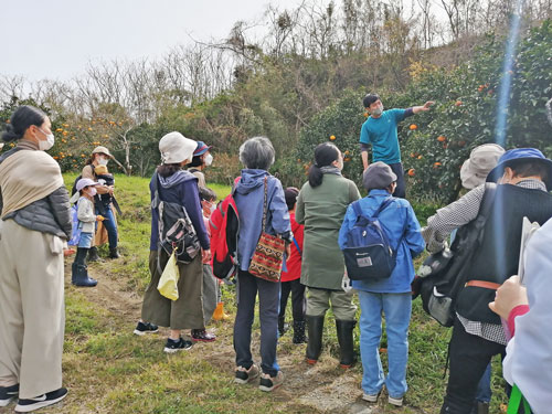 福岡県果樹発達史』 昭和56年4月1日 福岡県園芸農業