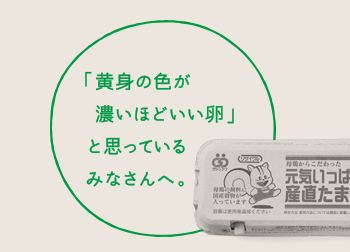 商品シリーズ 新聞5段広告