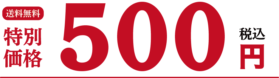 送料無料 特別価格税込500円