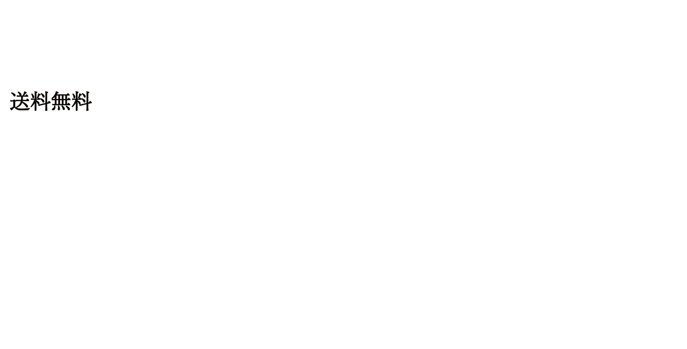 送料無料特別価格税込1,000円