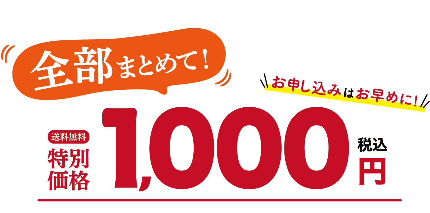 全部まとめて特別価格 税込1,000円