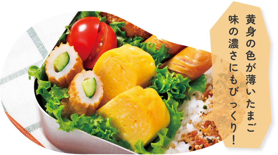 大人気！セットの卵についての画像：黄身の色が薄いたまご　味の濃さにもびっくり！
