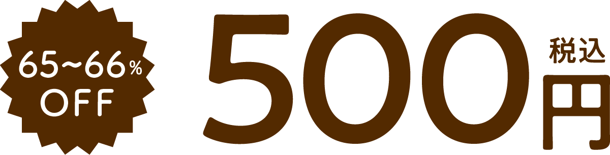 65〜66%OFF　500円（税込）