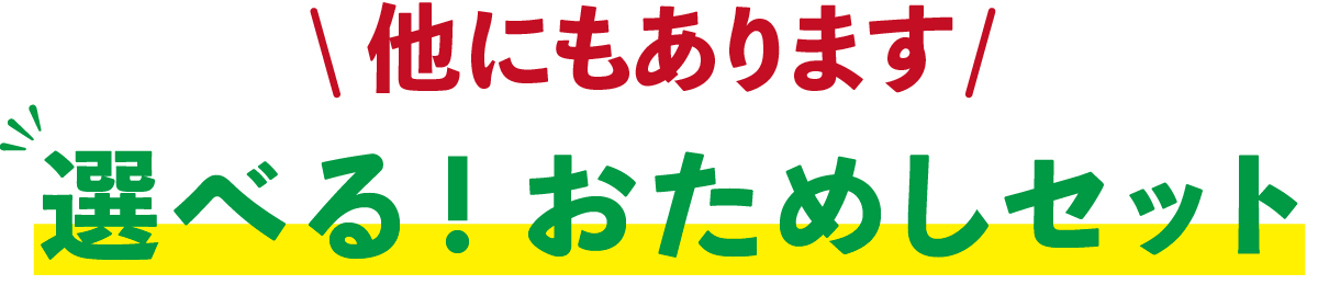 ＼他にもあります／選べる！おためしセット