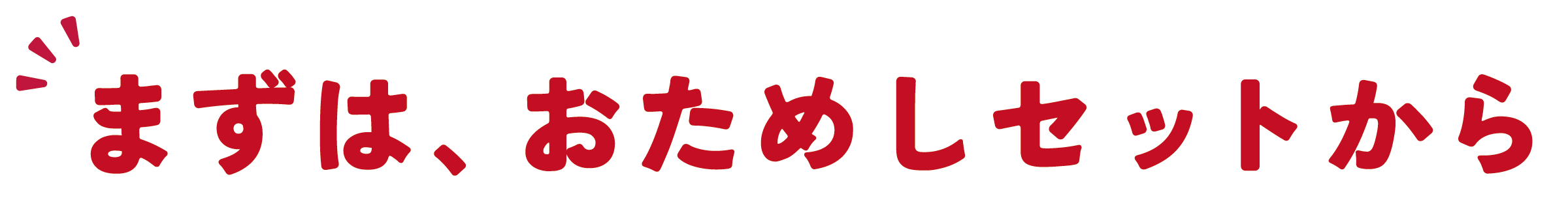 まずは、おためしセットから