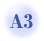 A3